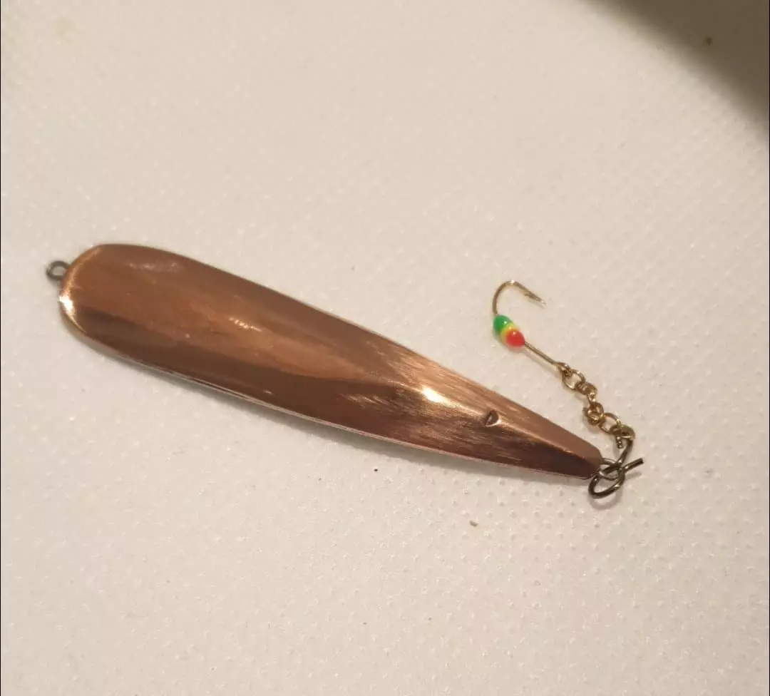 Sepeteus 55 Wolfram Kobber